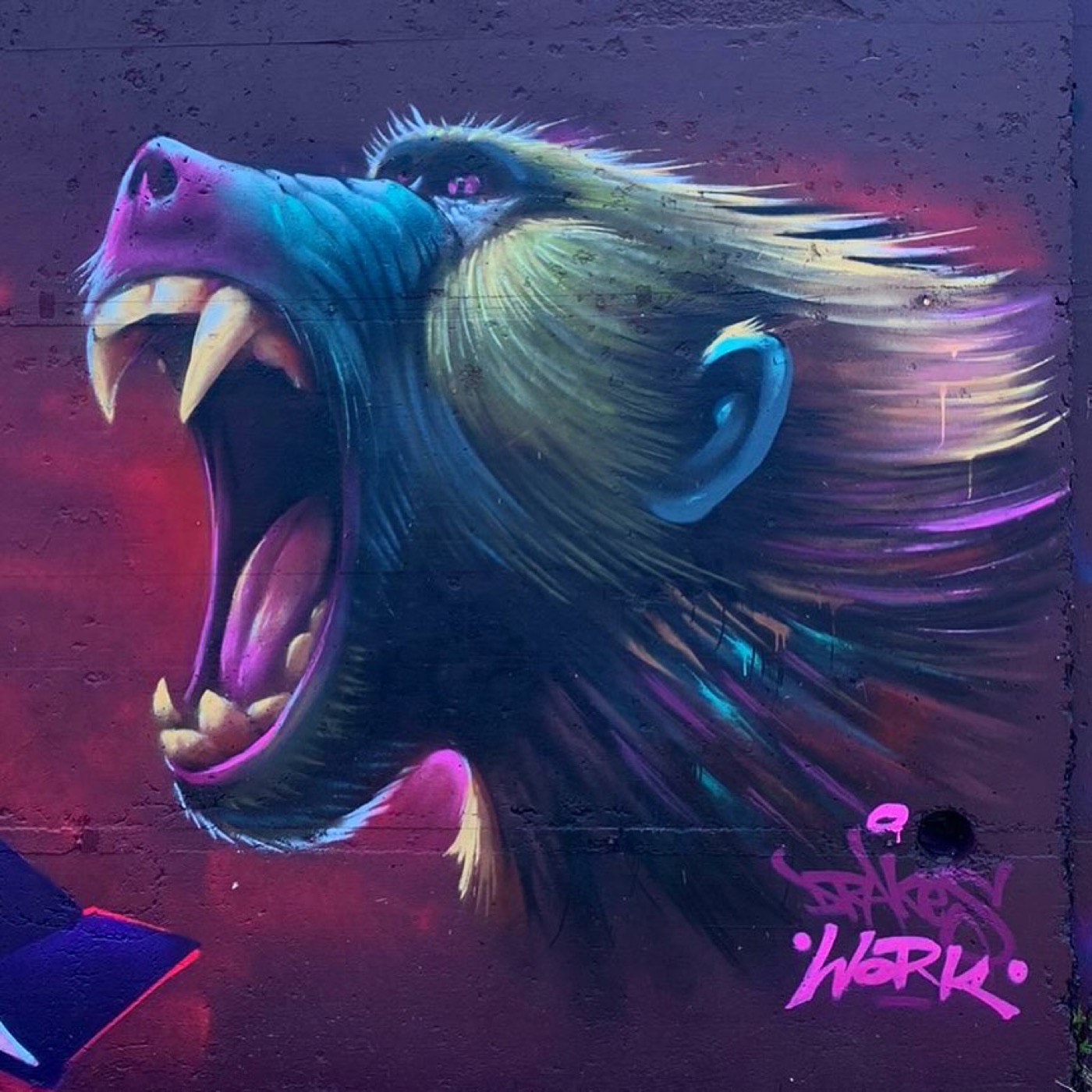 Roaring baboon graffiti mural with vivid colour by Top Murals